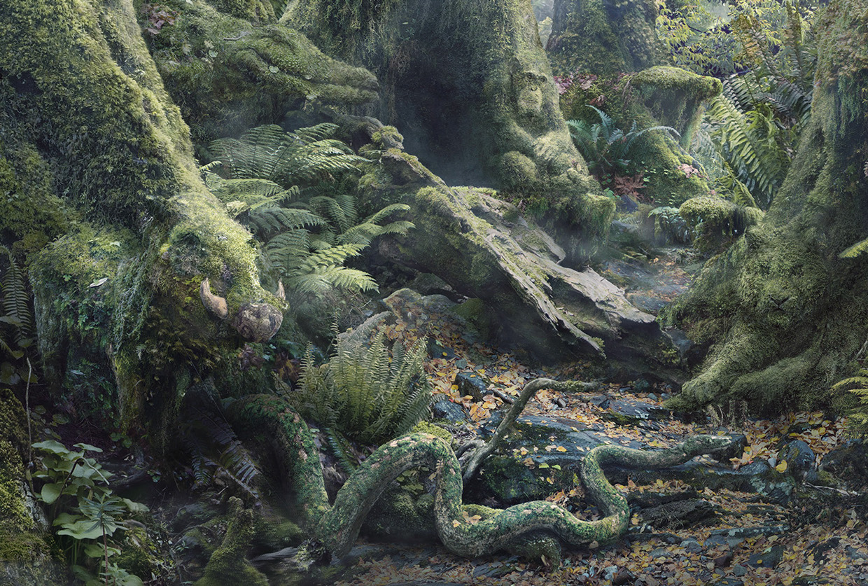 WWF - Botanimal Project by Anais Boileau